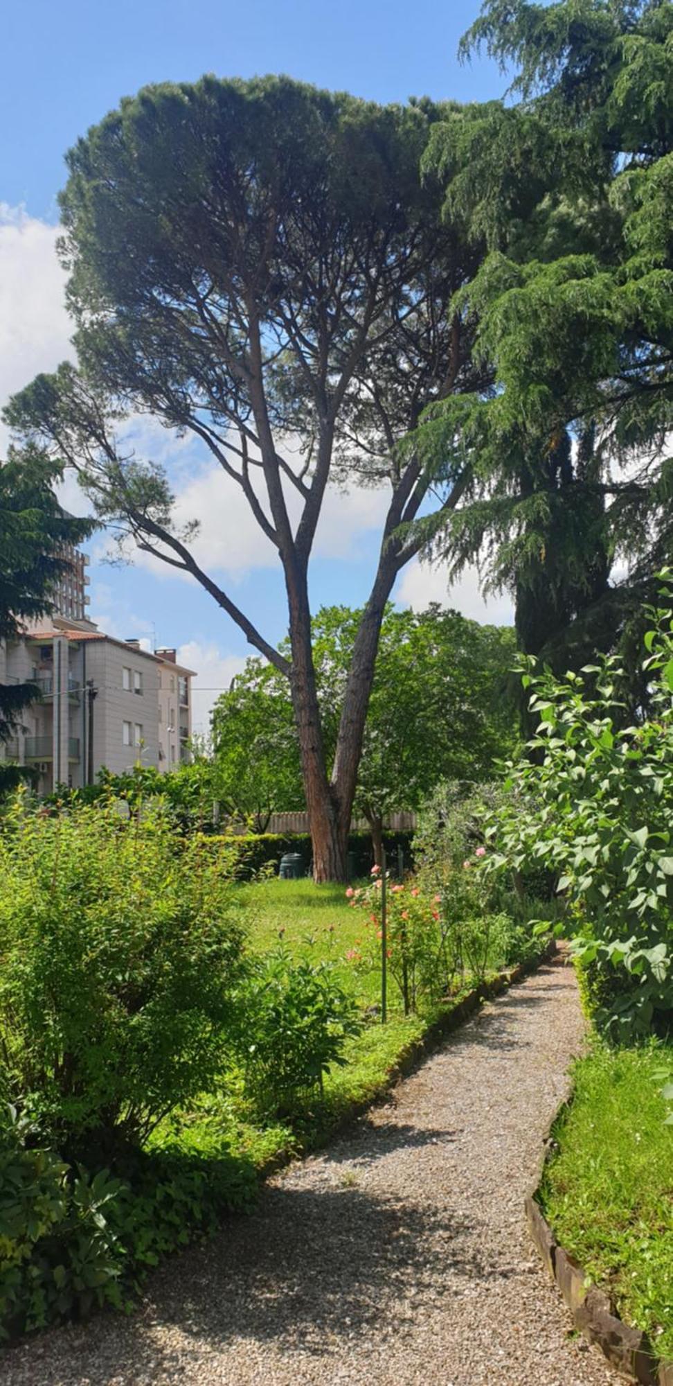 Alejlop Apartment Gorizia Eksteriør bilde